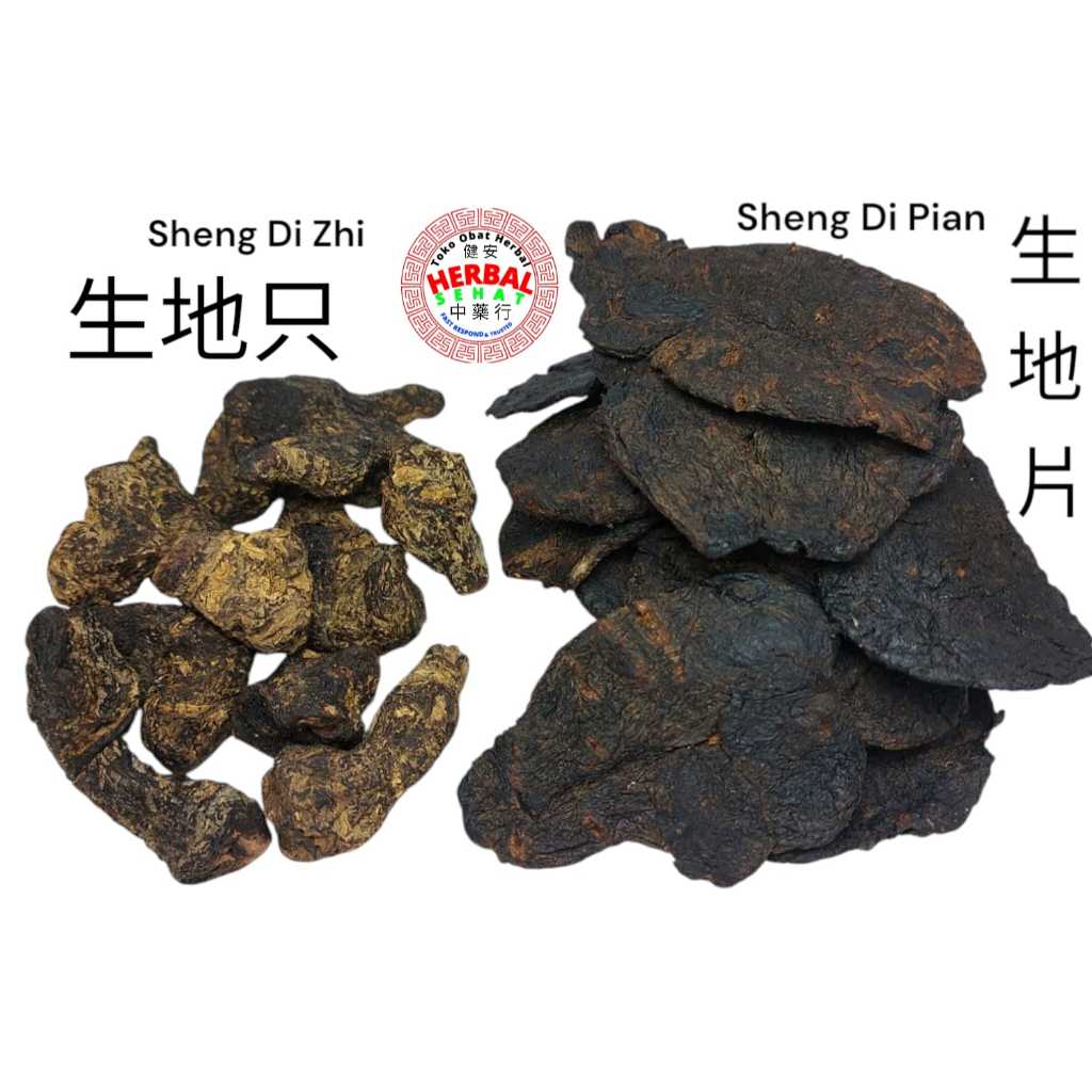 Jual Sheng Di Huang / Shengdi / Sendi / Senti - Radix Rehmanniae ...