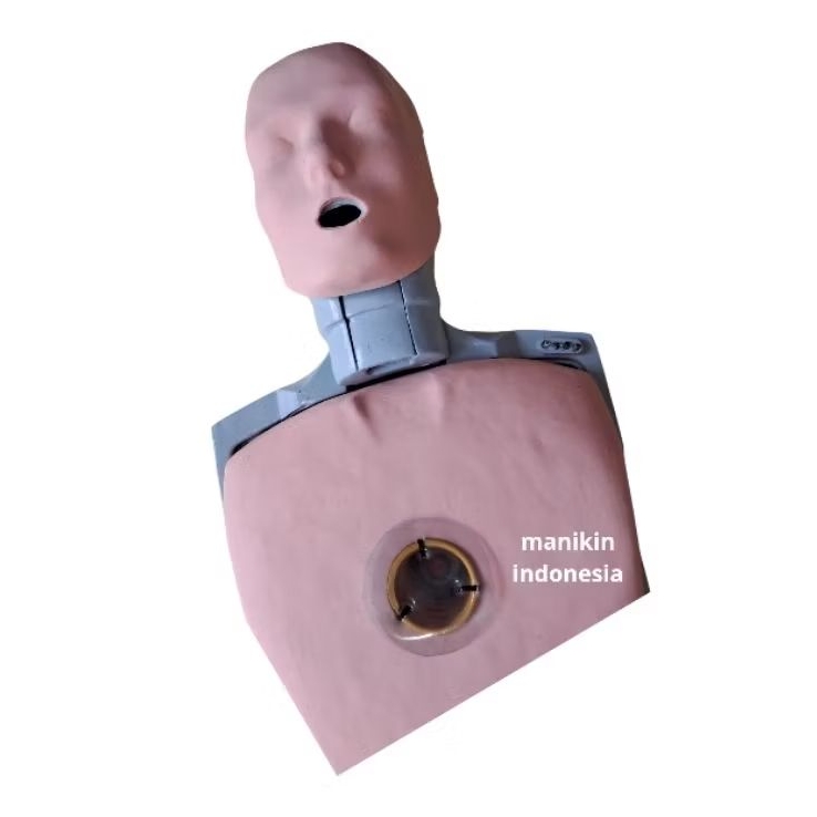 Jual MANIKIN PRESTAN CPR/PHANTOM CPR/ MANIKIN BHD/PRESTAN CPR/MANIKIN ...