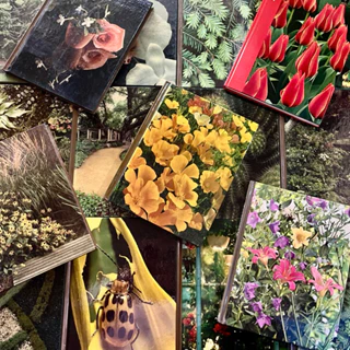 Buku TIME LIFE of Gardening / Ensiklopedia Tanaman Bunga dan Kebun