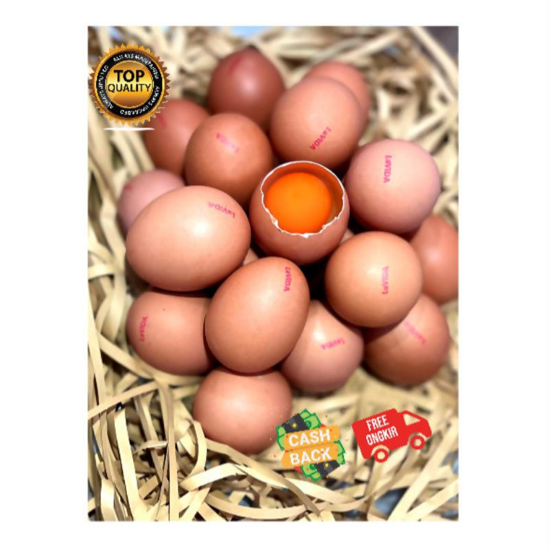 Jual Telur omega 3 1 tray (30 BUTIR UKURAN BESAR) | Shopee Indonesia