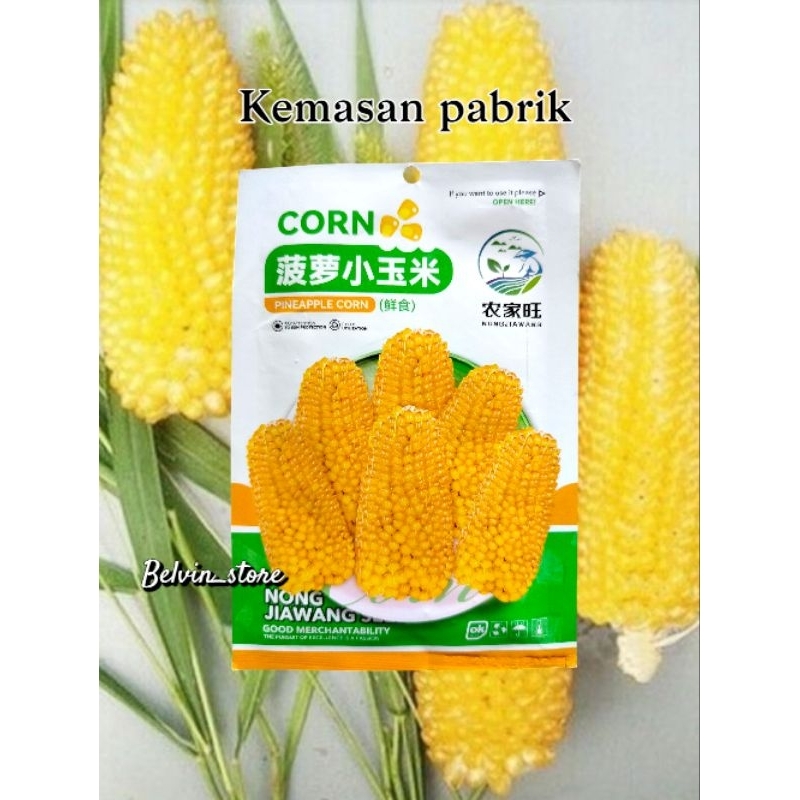 Jual benih jagung stawberry popcorn kuning [kemasan pabrik] | Shopee ...