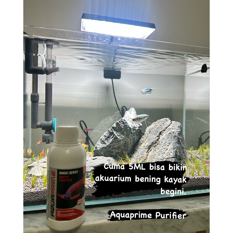 Jual AQUAPRIME WATER PURIFIER/ PENJERNIH AIR AQUARIUM DAN KOLAM IKAN ...