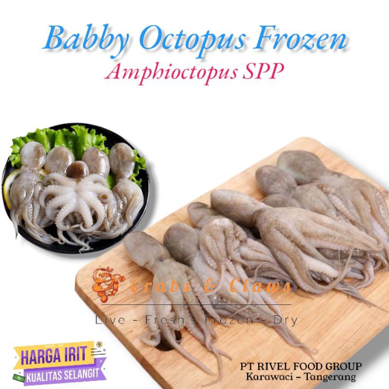 Jual Baby Oktopus / Gurita Kecil Fresh Frozen 1kg | Shopee Indonesia