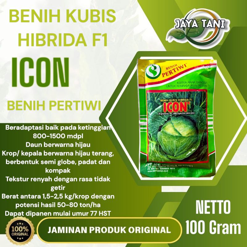 Jual Benih Kubis Hibrida F1 ICON 100gram - Benih Pertiwi | Shopee Indonesia