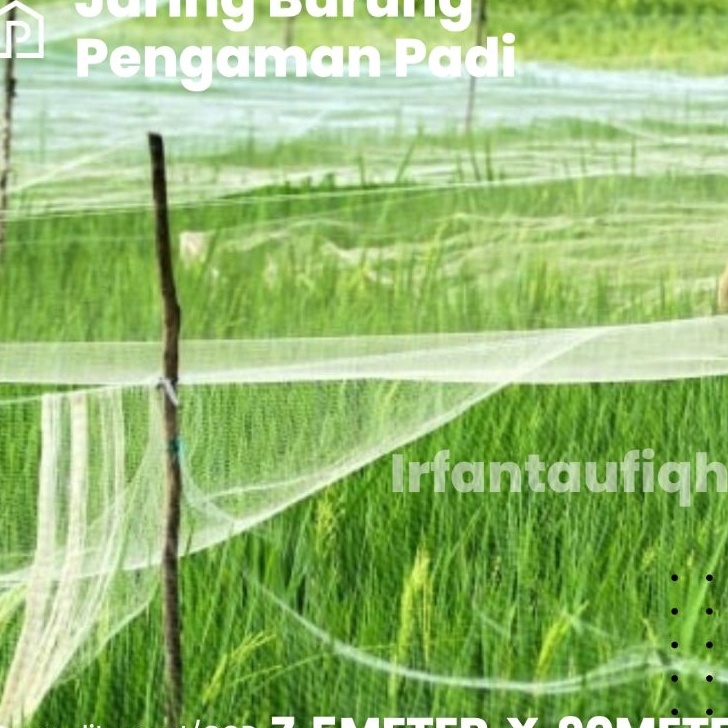 Jual COD Jaring Burung Jaring Sawah pengaman Padi | Shopee Indonesia