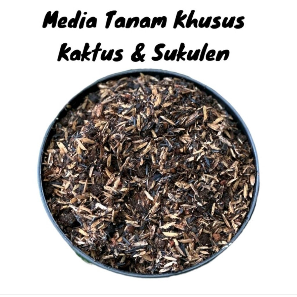 MEDIA TANAM 1 KG UNTUK KAKTUS DAN SUKULEN