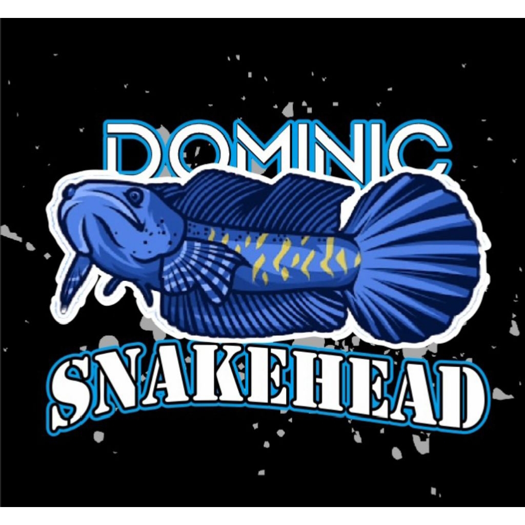 Jual Stiker Chana Pulchra Biru ukuran 14-16cm | Shopee Indonesia