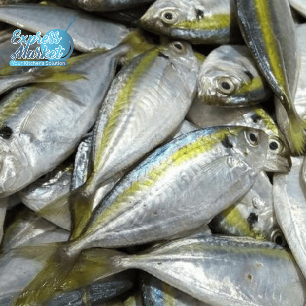 Jual Ikan Laut Ikan Kembung Katombo Halal Kemasan 1kg | Shopee Indonesia