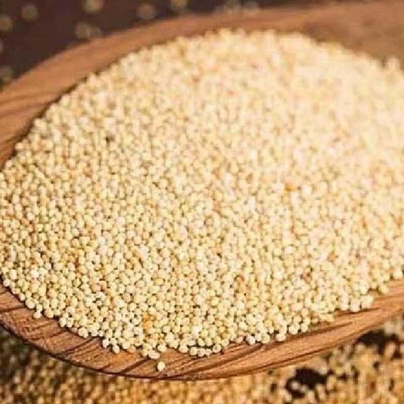 Jual Kaskas Kaskas Kaca Kace Aceh Poppy Seed Kemasan 100gr 1ons ...