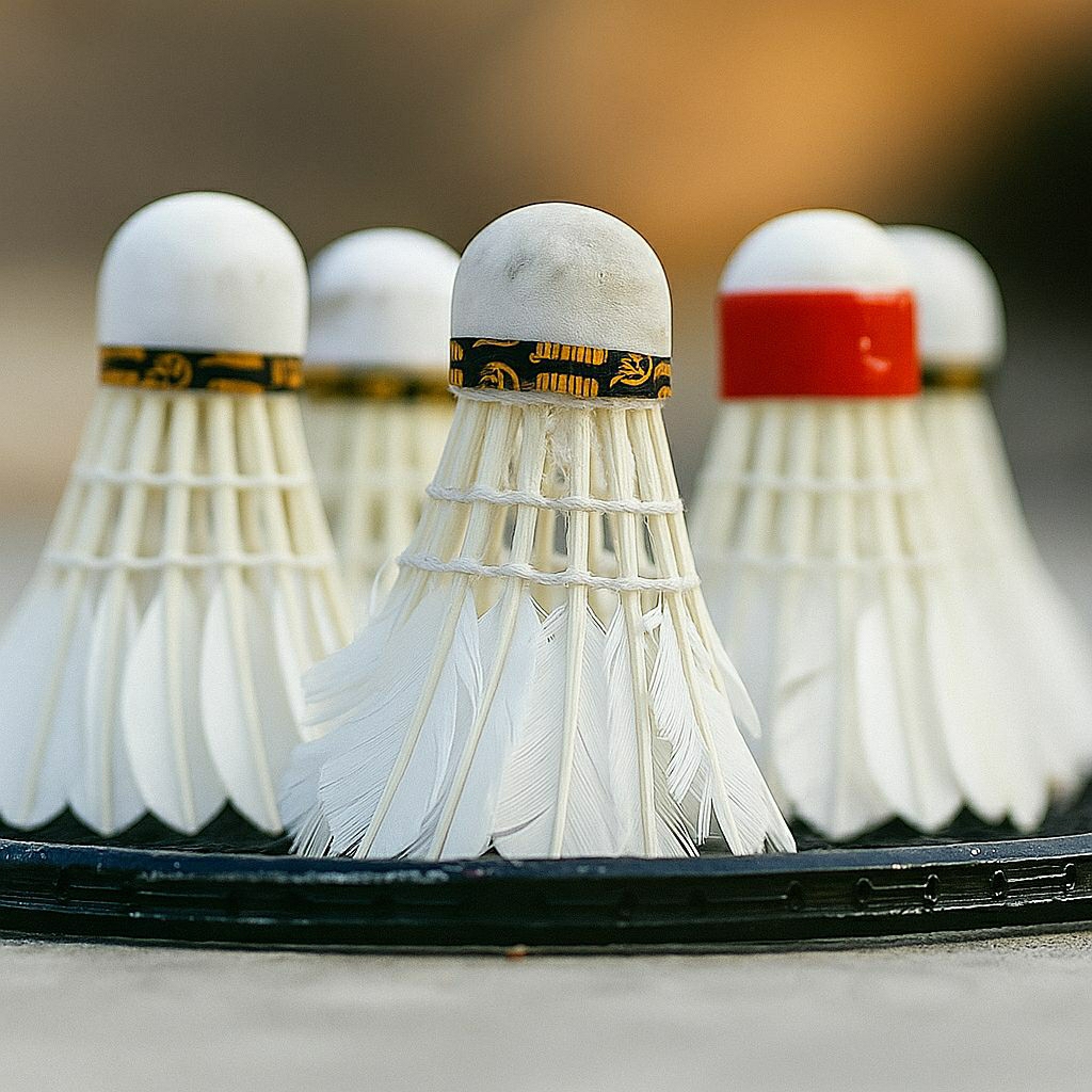 Jual Grade B Shuttlecock Badminton Shuttle Kok Bulu Tangkis Bola Raket ...