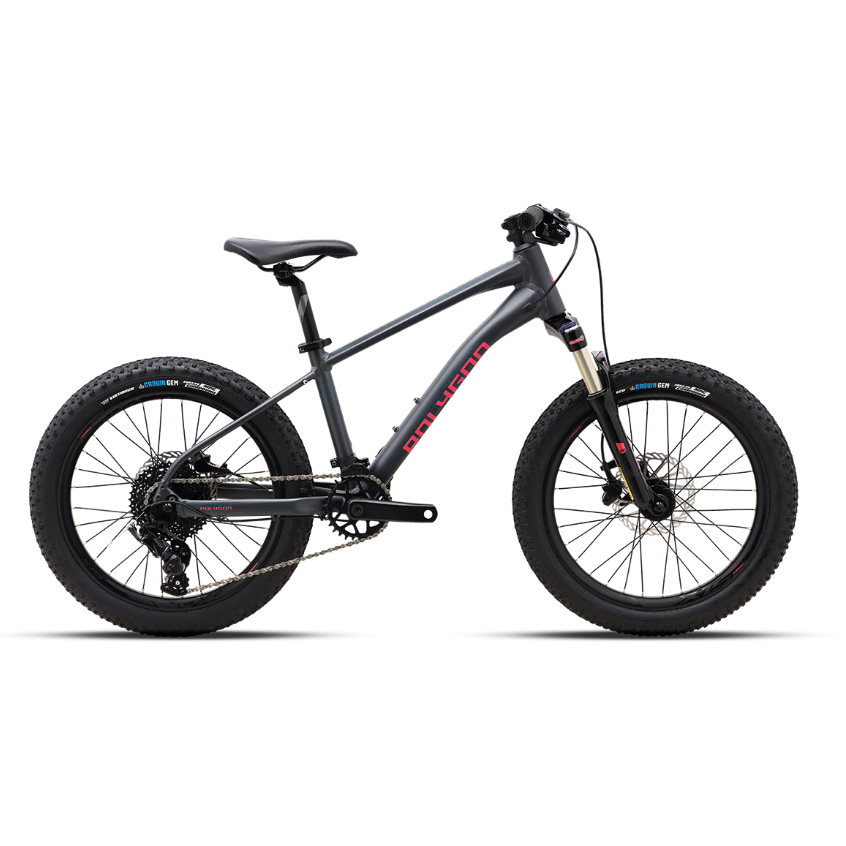 Jual (15 juni - 31 juli 2025) polygon xtrada 20 inch / 24 inch sepeda ...