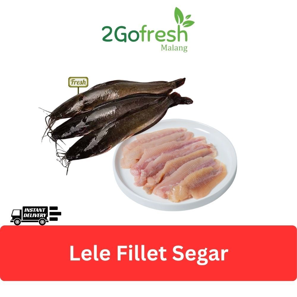 Jual Daging Lele Fillet Segar Tanpa Kulit | Cocok Untuk Bahan MPASI ...