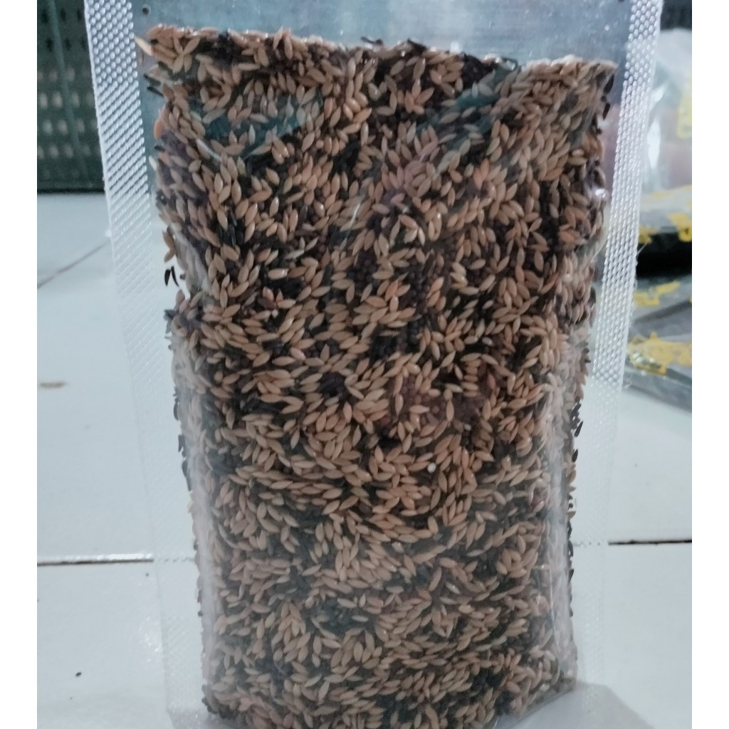 Jual racikan pakan burung kenari mix 3 in 1 pakan harian | Shopee Indonesia