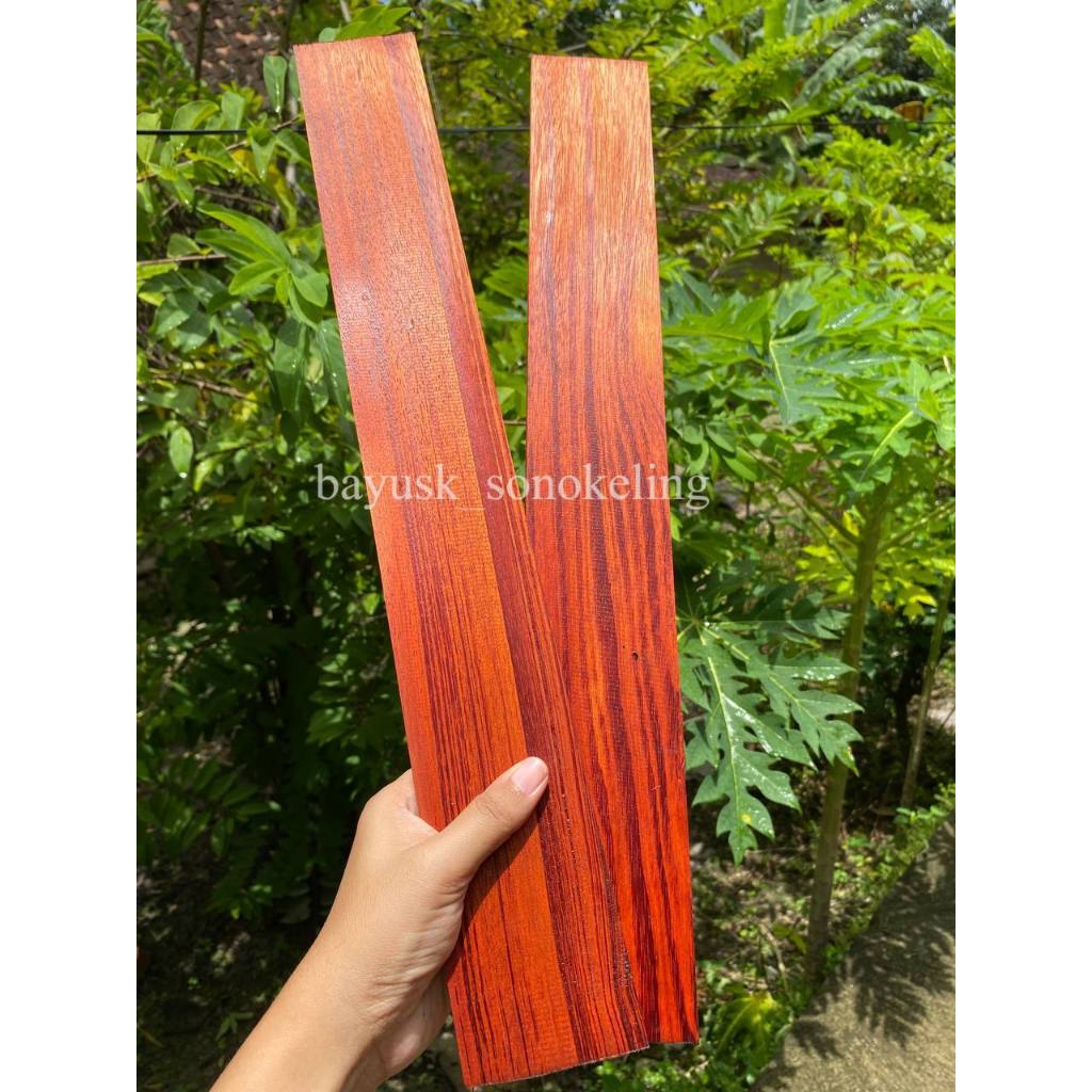 Jual Kayu rengas merah 50 x 7 x 1 cm full galih | Shopee Indonesia