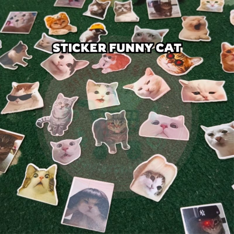 Jual STICKER CUTE FUNNY CAT KUCING LUCU Stiker Pack set | Shopee Indonesia