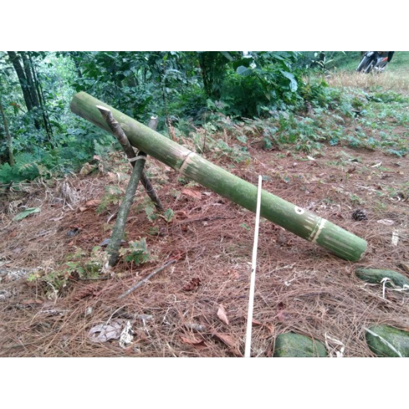 Jual Jual Minyak Tanah Terlengkap & Harga Terbaru Juni 2026 | Shopee ...