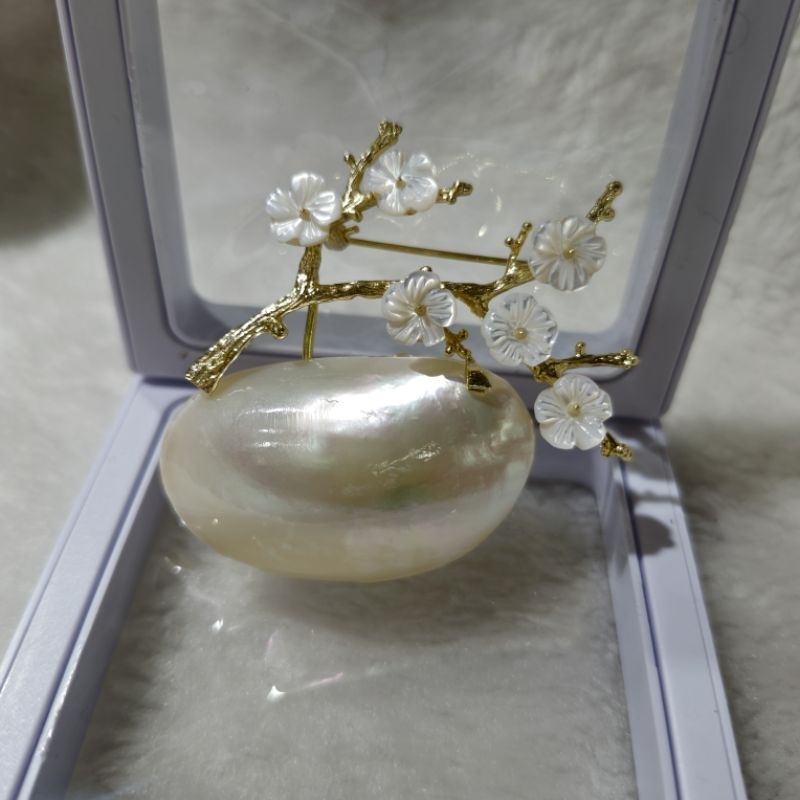 Jual BROS KERANG MABE ASLI GRANSI ELEGAN | Shopee Indonesia
