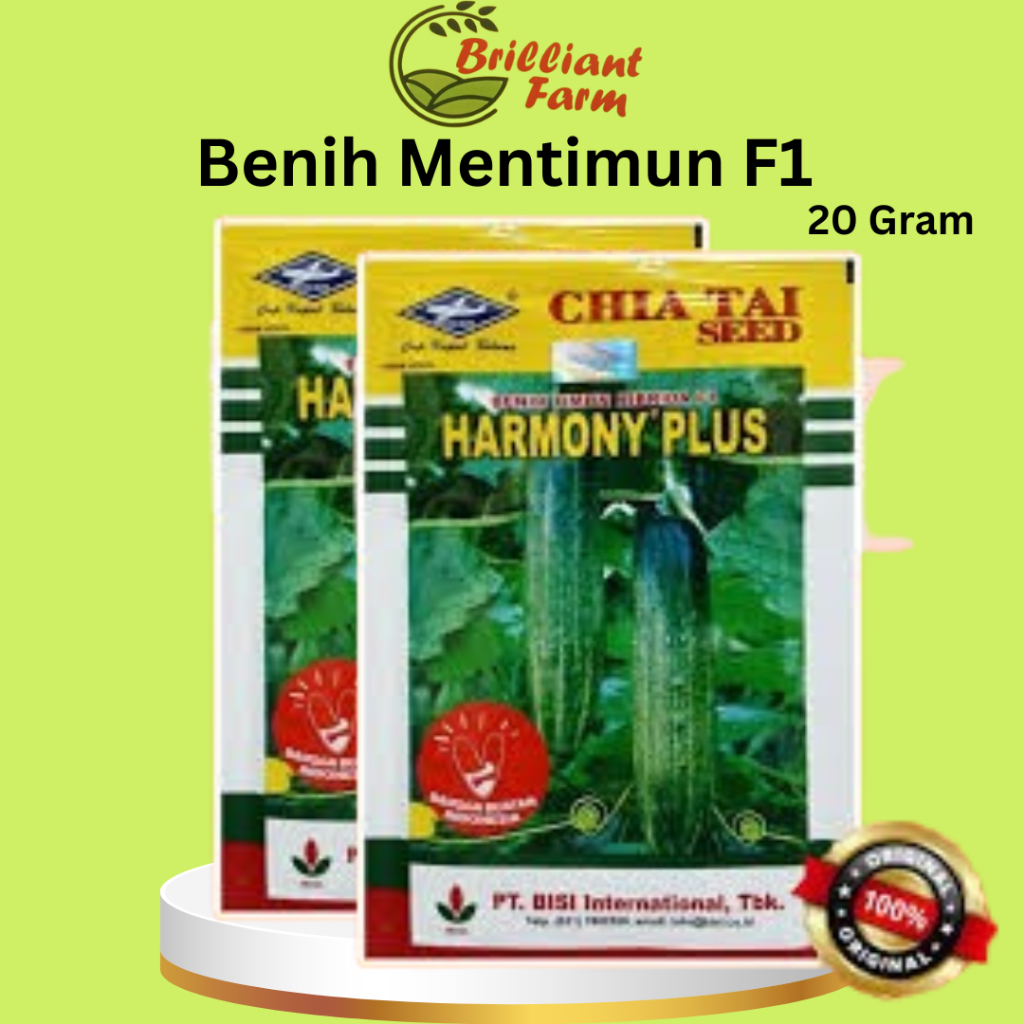 Jual Benih Timun Mentimun Ketimun Hibrida F1 HARMONY PLUS 20 gram ...