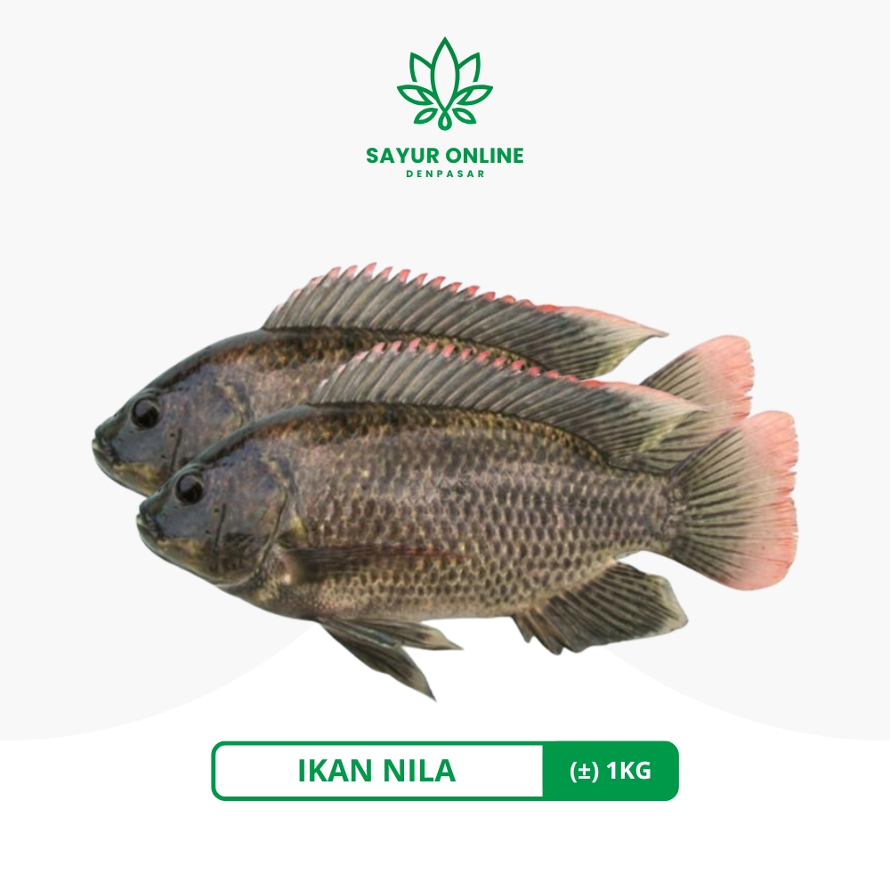 Jual Ikan Nila Per Kg Terlengkap & Harga Terbaru Juni 2026 | Shopee ...