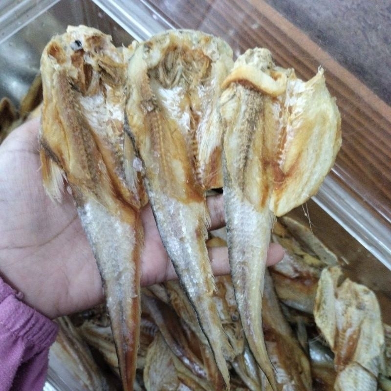 Jual Ikan Asin Bulu Ayam (Asin) | Shopee Indonesia