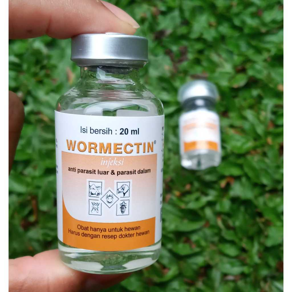 Jual Wormectin Injeksi 20 ml Obat Scabies, Kutu, Cacing, Anjing, Kucing ...