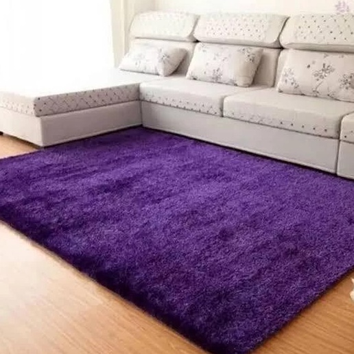 Jual KARPET BULU RASFUR UKURAN 16 X 1 LEBIH PANJANG DAN TEBAL | Shopee ...