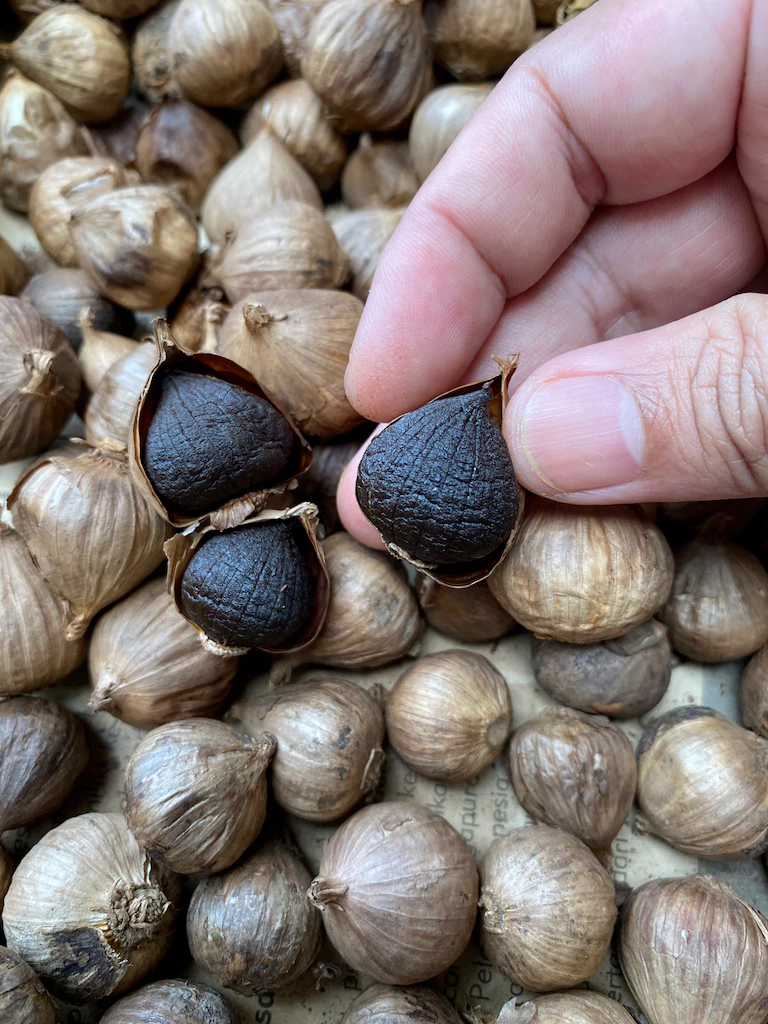 Black Garlic Bawang Hitam Tunggal 100gr