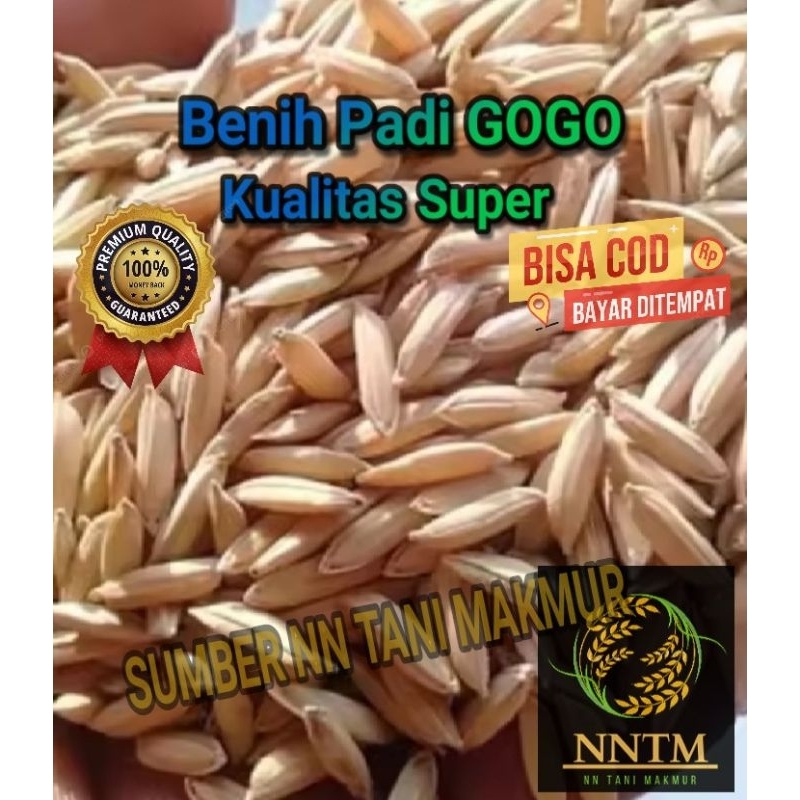 Jual Super Rice Seeds GOGO Kemasan 5 KG Original | Shopee Indonesia