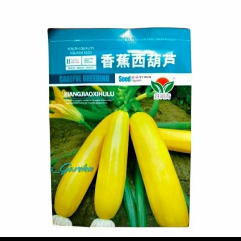Jual biji benih zucchini kuning panjang kemasan premium | Shopee Indonesia