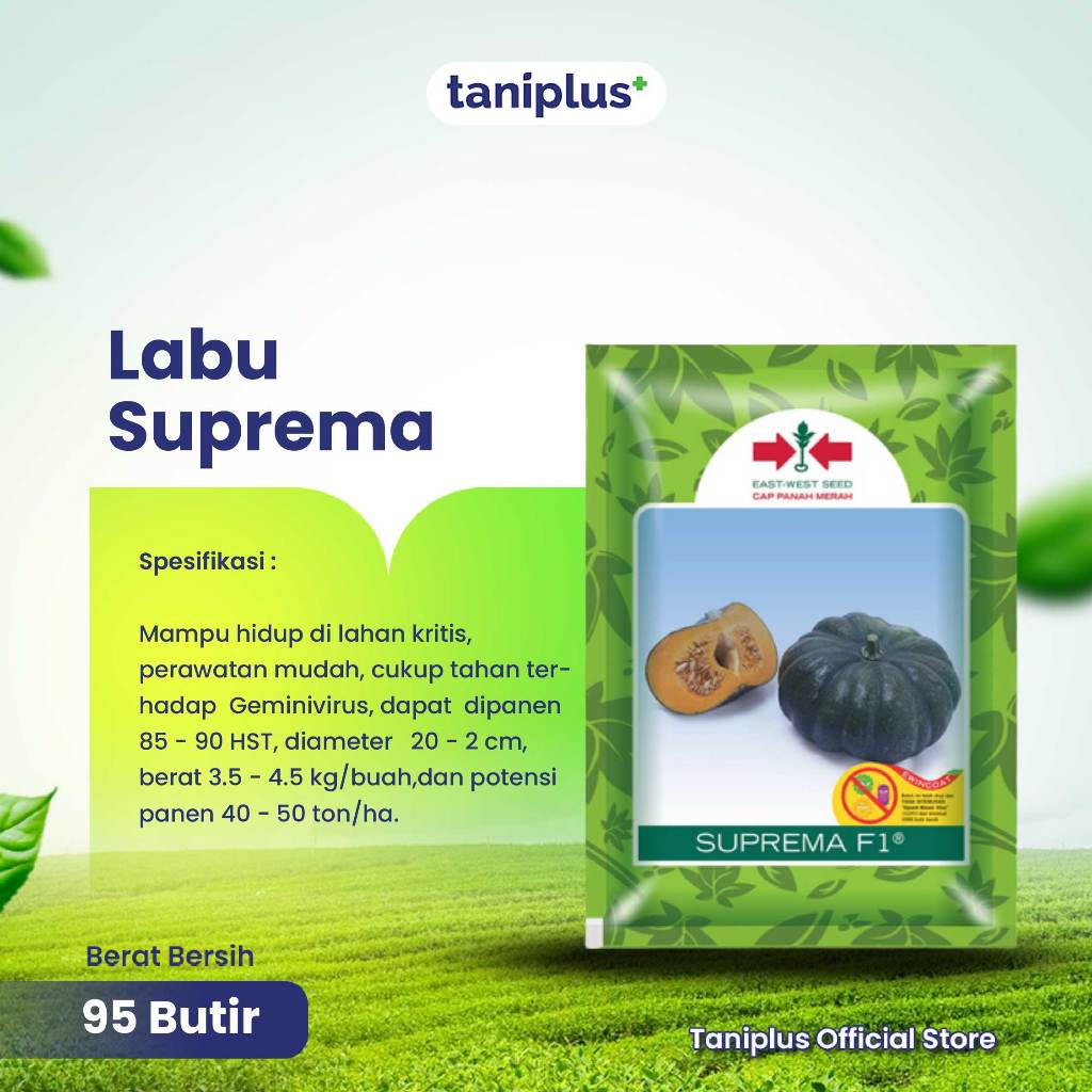 Jual Labu Suprema 95 Butir - Benih Hortikultura | Shopee Indonesia