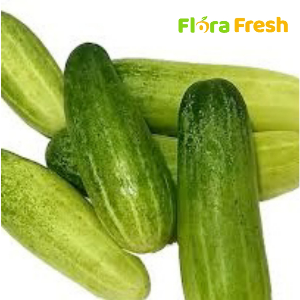 Produk Flora Fresh Bandung | Shopee Indonesia