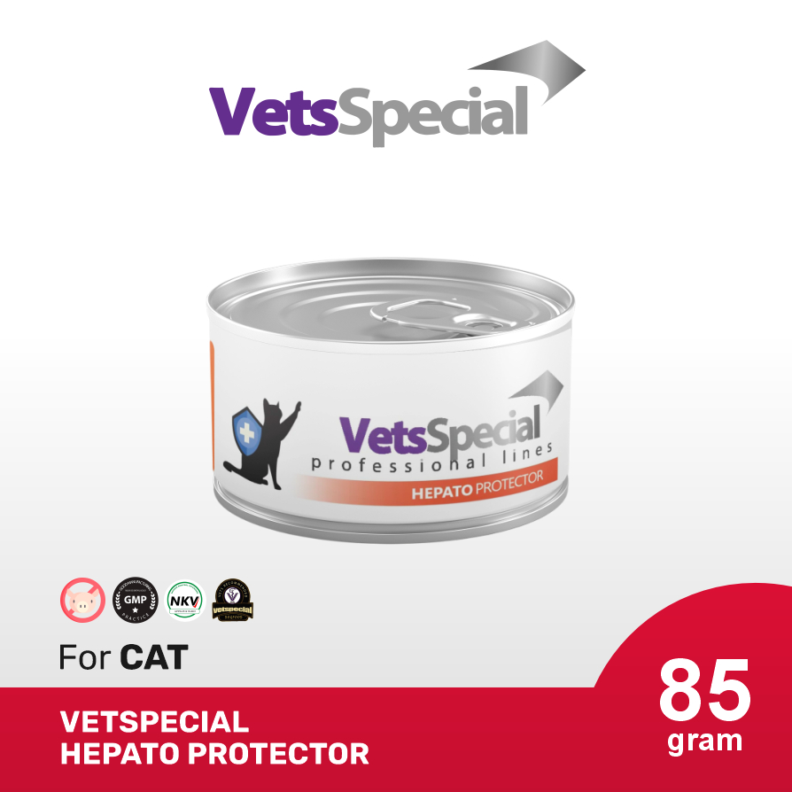 Jual Vets Special Hepatoprotector Cat 85g | Shopee Indonesia