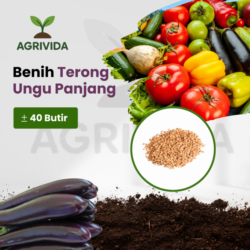 Jual Benih Terong Ungu Panjang 40 Butir | Shopee Indonesia