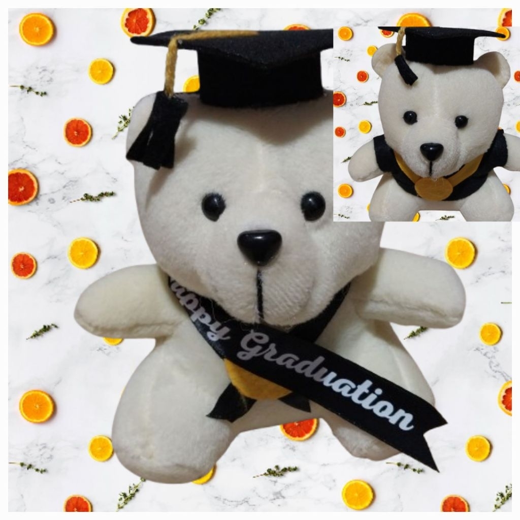 Jual BONEKA TEDDY BEAR WISUDA GRADUATION 15CM | Shopee Indonesia