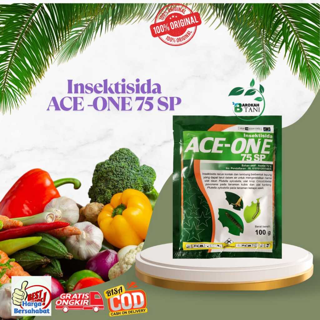Jual Insektisida ACE ONE 75 SP Bahan Aktif Asefat 75% 100g | Shopee ...