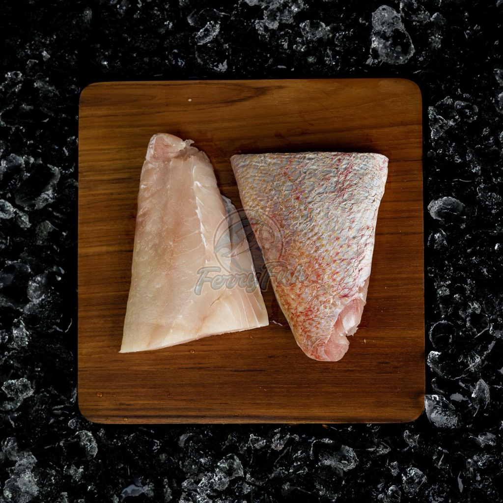 Jual Ikan Kakap Merah Fillet / Red Snapper Premium Fillet 500 gram ...
