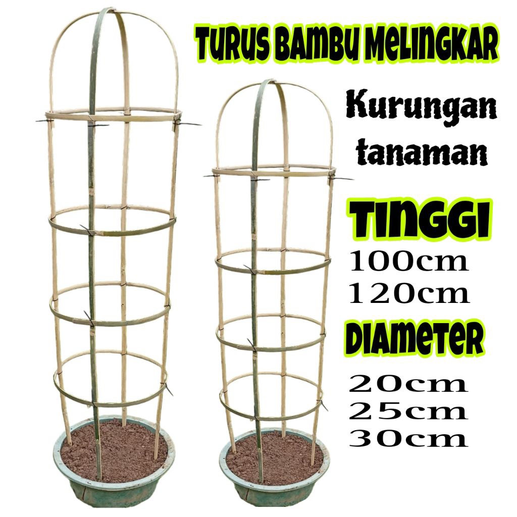 Jual Turus Bambu Melingkar/Bracket Bambu (1 Set) Turus Bambu Kurungan ...