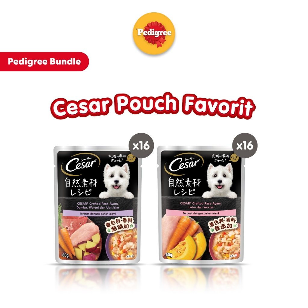 Jual [PREMIUM BEST SELLER] Cesar Makanan Anjing Basah Premium Pouch ...