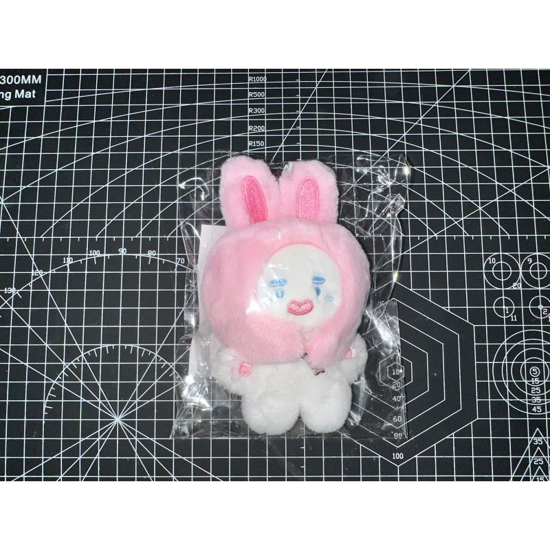 Jual SEALED SHINEE DOLL MINI JJINGYANG JJINGMEOK 10CM Jual SEALED SHINEE DOLL MINI JJINGYANG JJINGMEOK 10CM