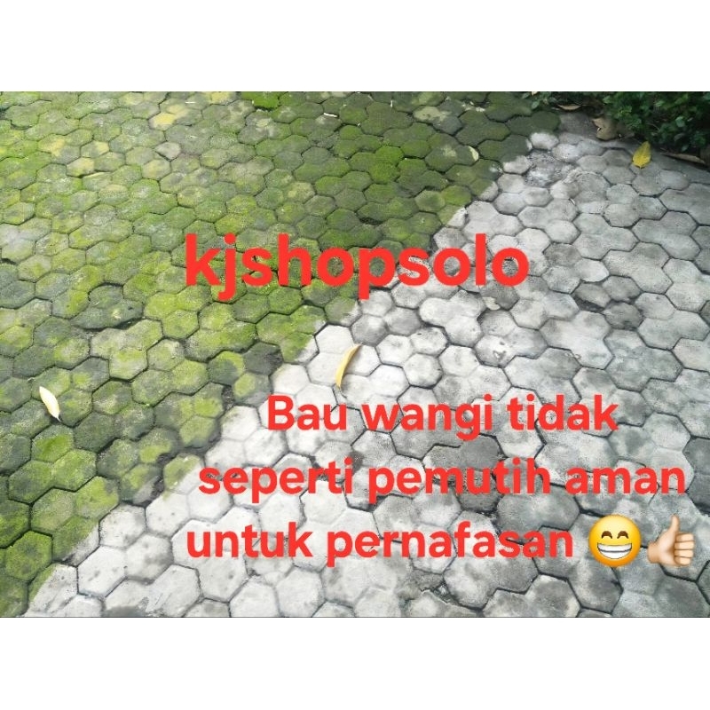 Obat Penghilang Lumut Ajaib Tanpa di Sikat (TIDAK BERBAU AMAN UNTUK PERNAFASAN)