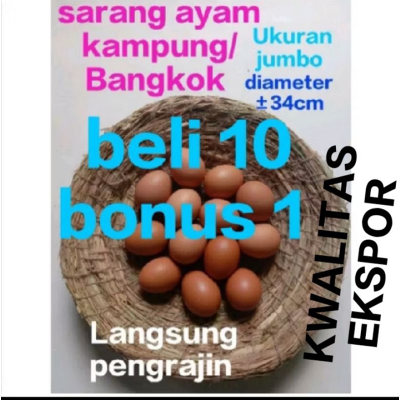 Jual SARANG tarangan susuh AYAM Murah (LANGSUNG PENGRAJIN ) Jumbo ...