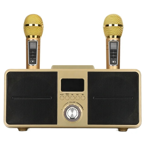 Jual Speaker SDRD SD 309 Bluetooth Karaoke Dual Microphone