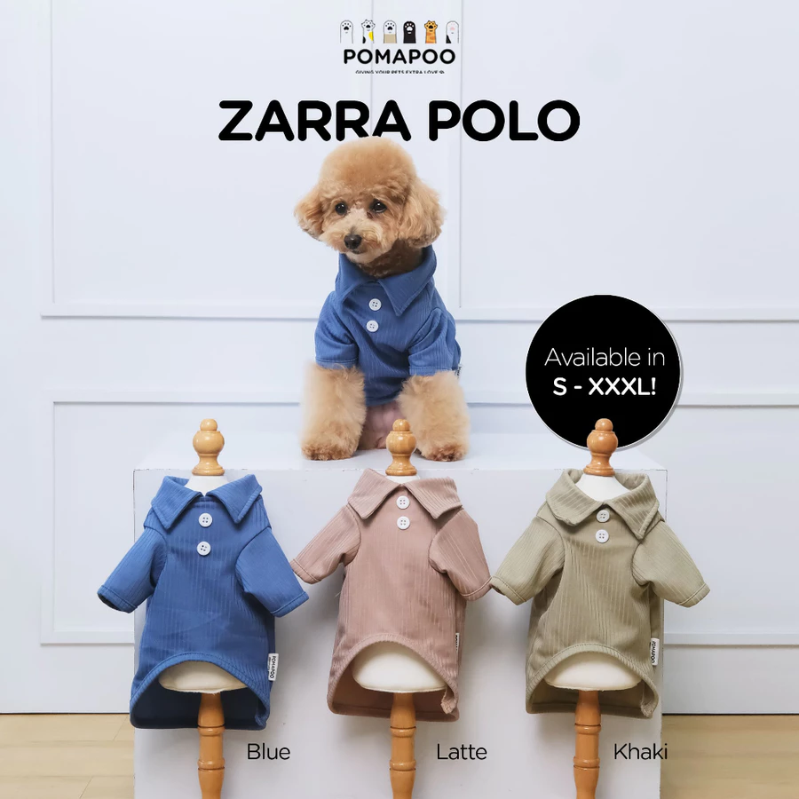  Zarra Polo