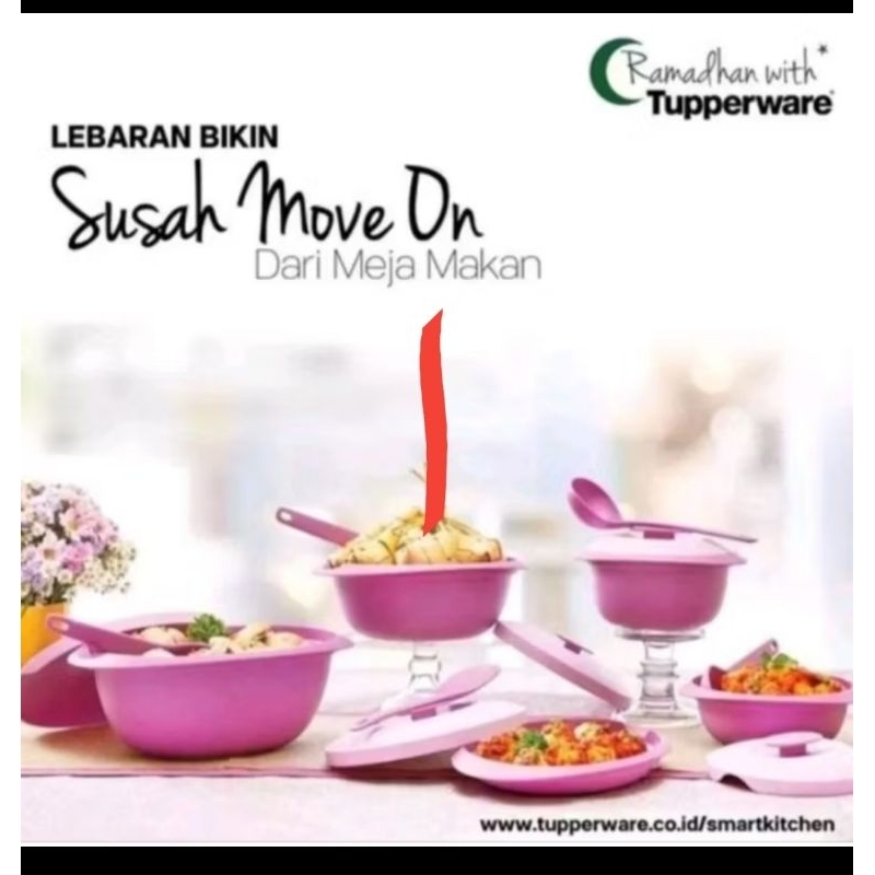 Jual Tupperware set tempat makan Blossom | Shopee Indonesia