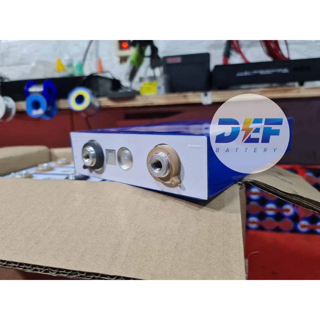 Jual New Cell lifepo4 Vision 100Ah real capacity free BMS | Shopee ...