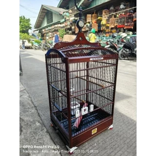 Chiroyli shakldagi jojalar bilan porno Qisqa qizlar porno videolar