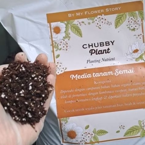 Jual chubby plant media tanam semai benih ngebibit tanaman premium ...
