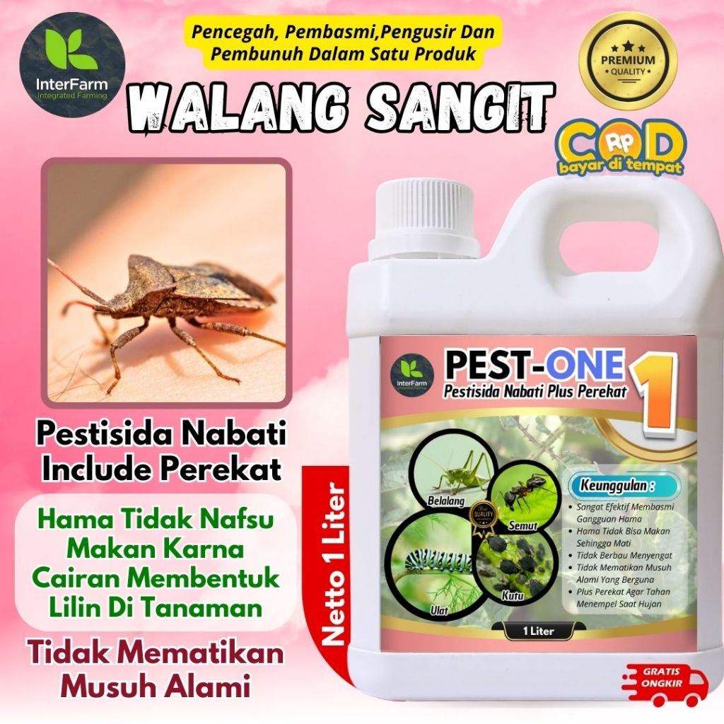 Jual Obat Hama Walang Sangit/ Pestisida Nabati | Obat Walang Sangit ...