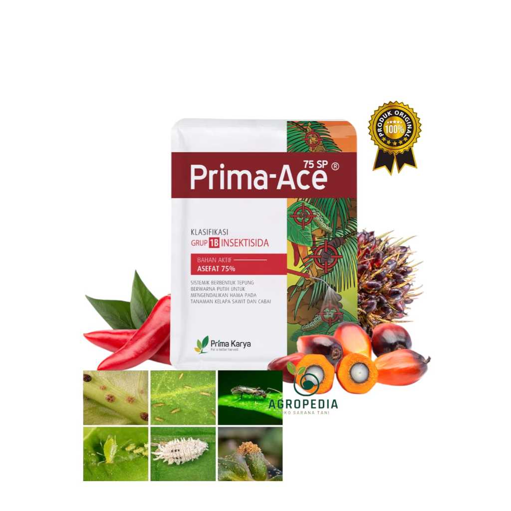 Jual Insektisida Prima Ace 75SP 100gr - Asefat 75% Mengendalikan Ulat ...
