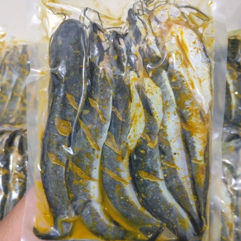 Jual Ikan Lele Marinasi Bumbu Kuning isi 4 ekor | Shopee Indonesia